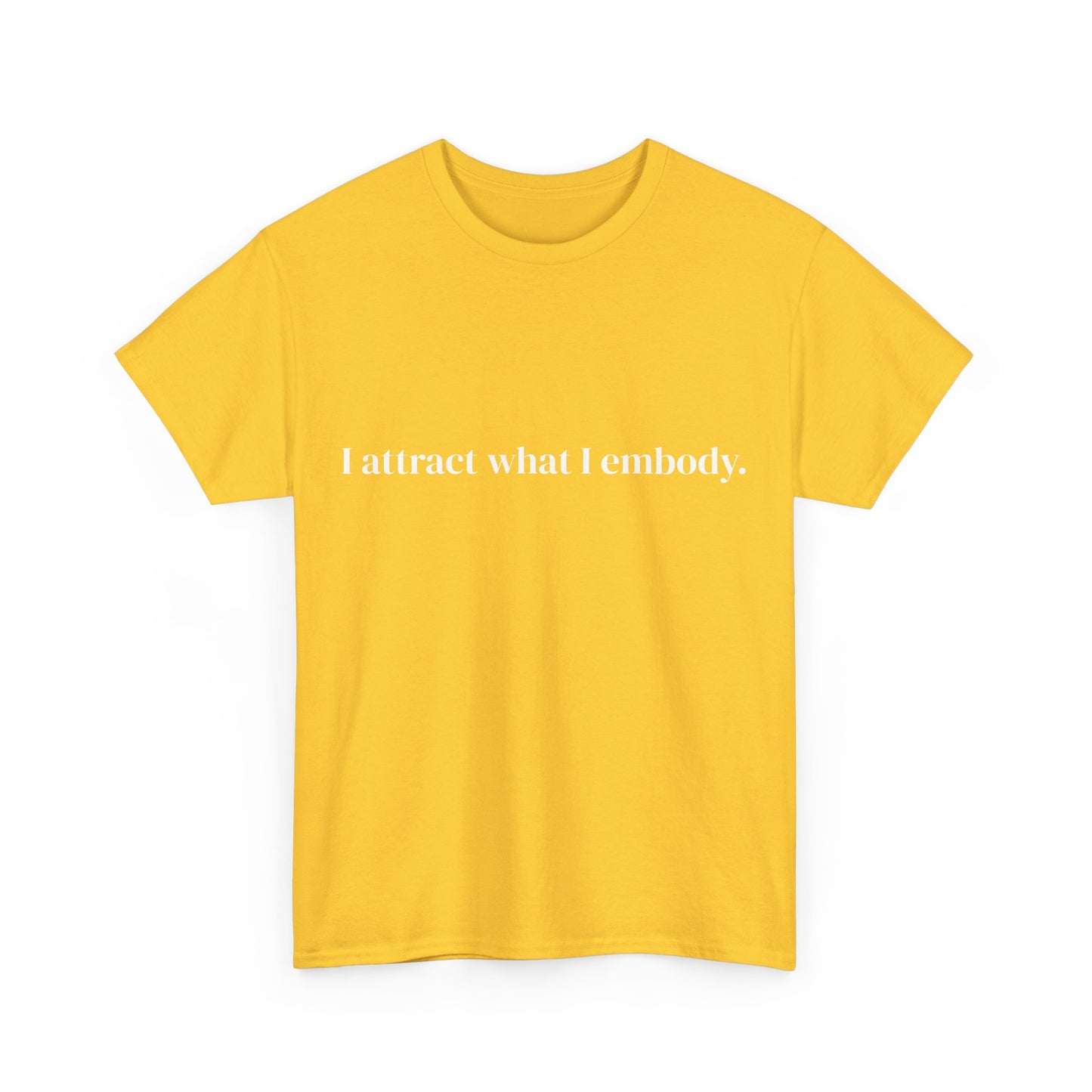 I attract what i embody, Affirmations Tee tshirt, Motivational Quote Tee, Everyday Casual Shirt, Spiritual, mindful living empowerment t-shirt