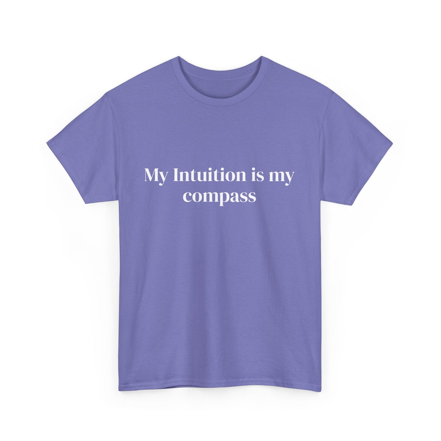 My intuition is my compass, Affirmations Tee, Motivational Quote Tee, Everyday Casual Shirt, Spiritual, mindful living empowerment t-shirt