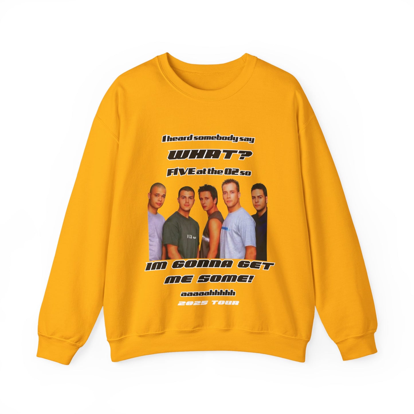 FIVE,  boy band, 5ive, 2025 tour, teenage nostalgia, original five fans slam dunk da funk