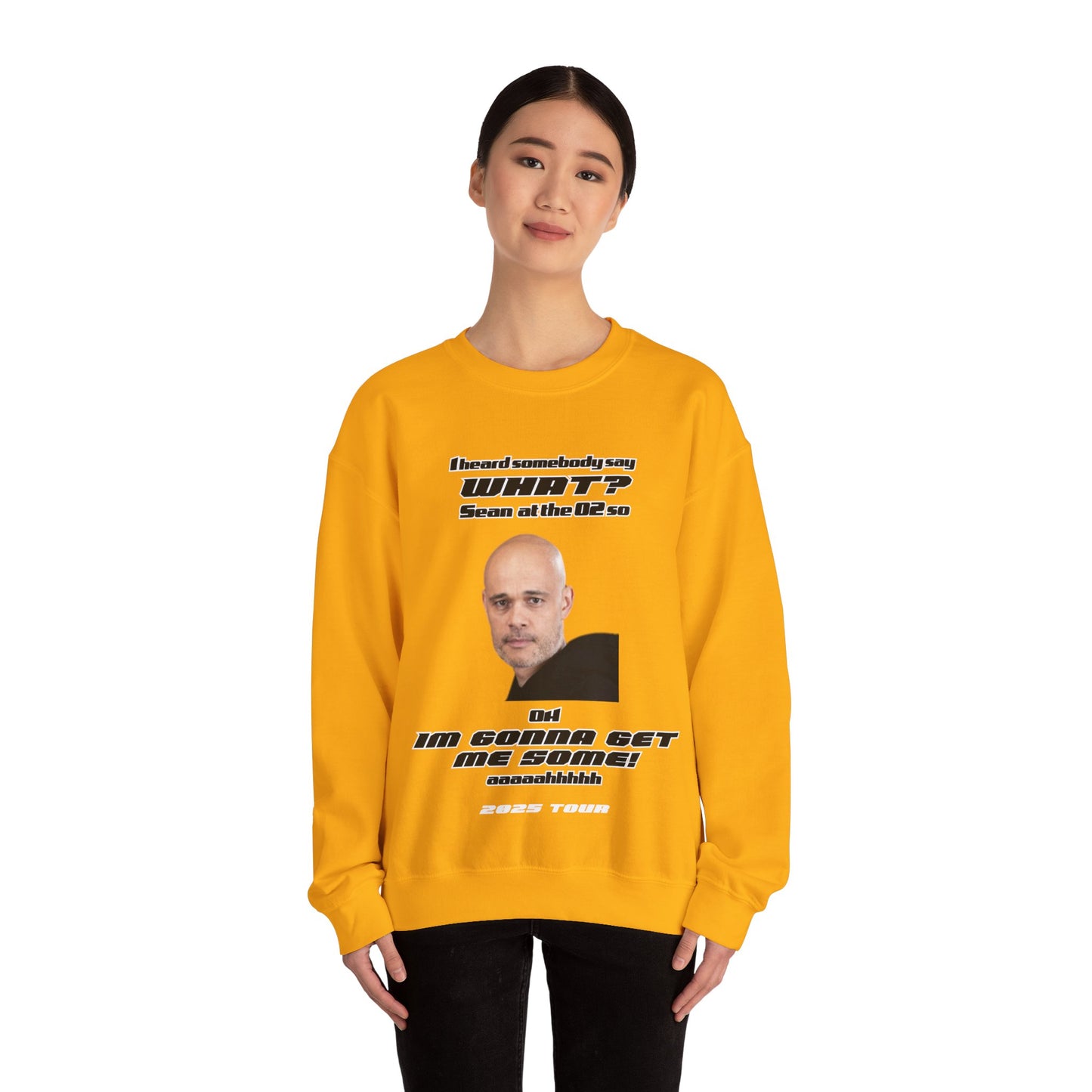 Sean FIVE, 5IVE at the o2 2025 tour,  mums, wives five boy band, 5ive, 2025 tour, original five fans