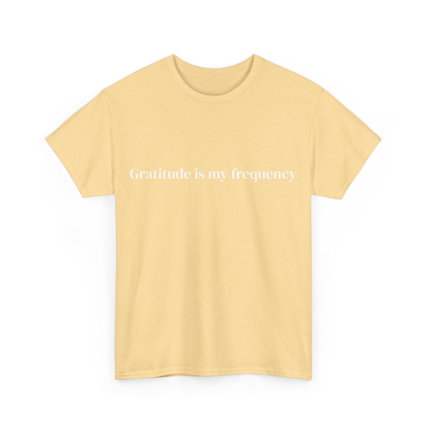 Gratitude is my frequency, Affirmations Tee tshirt, Motivational Quote Tee, Everyday Casual Shirt, Spiritual, mindful living empowerment t-shirt