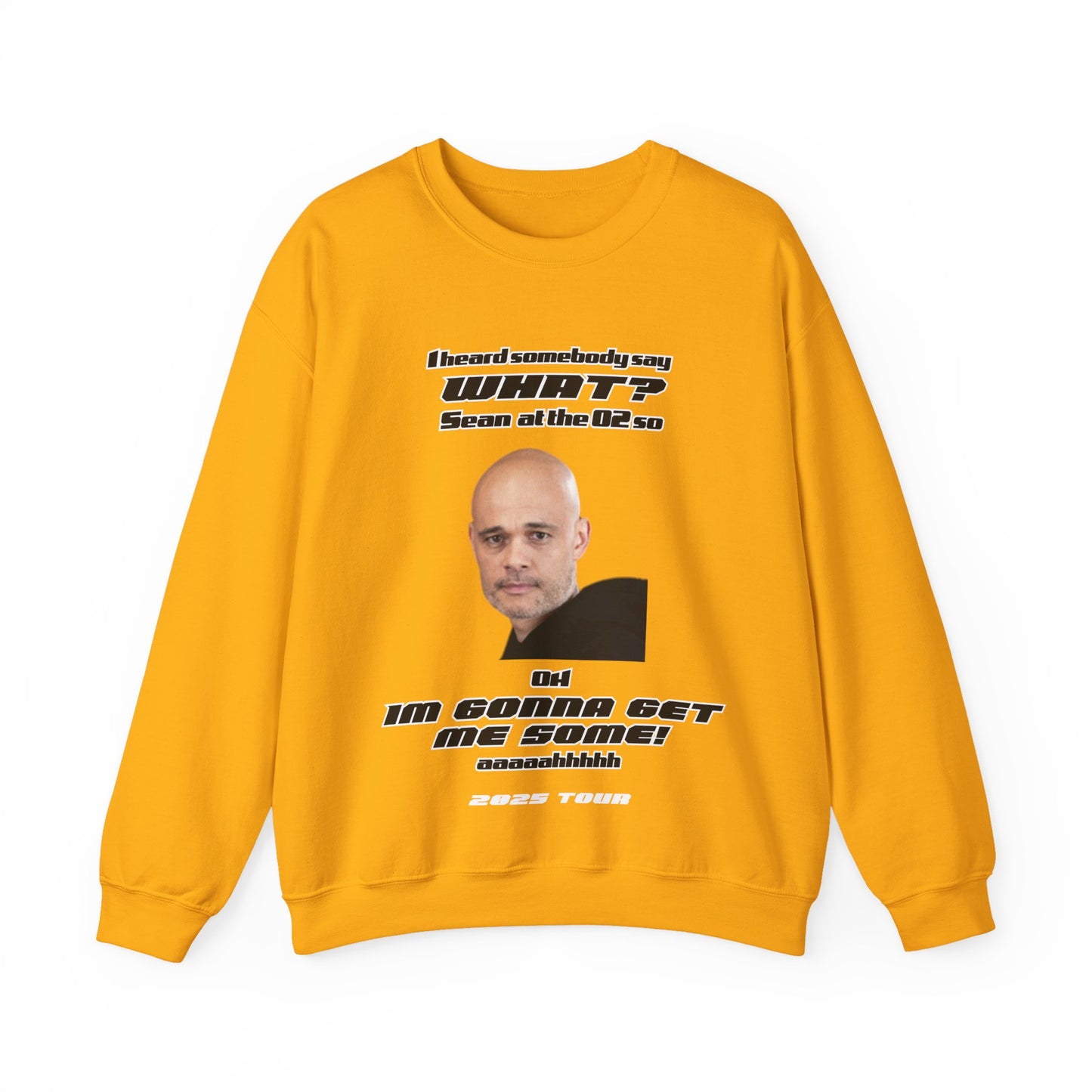 Sean FIVE, 5IVE at the o2 2025 tour,  mums, wives five boy band, 5ive, 2025 tour, original five fans