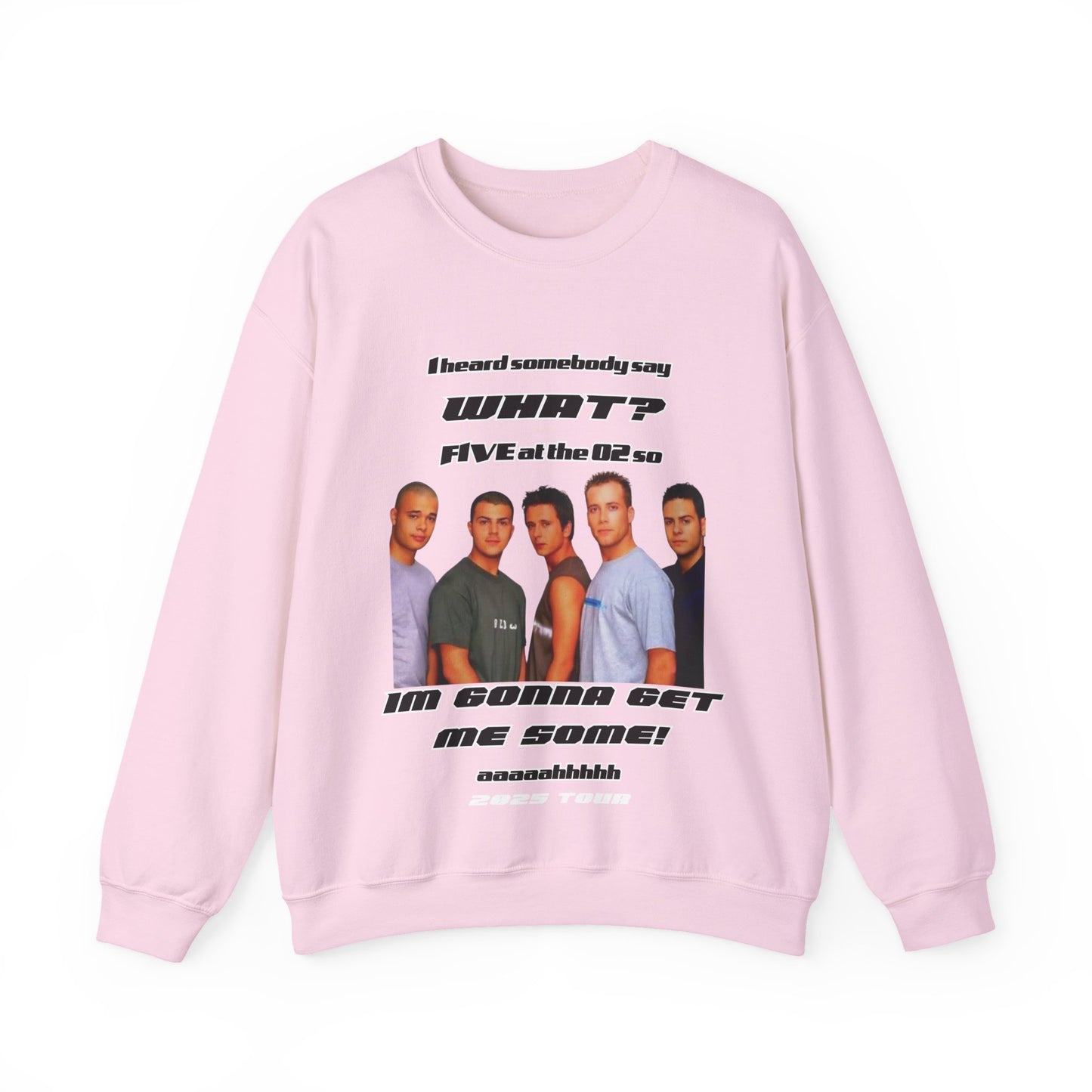 FIVE,  boy band, 5ive, 2025 tour, teenage nostalgia, original five fans slam dunk da funk