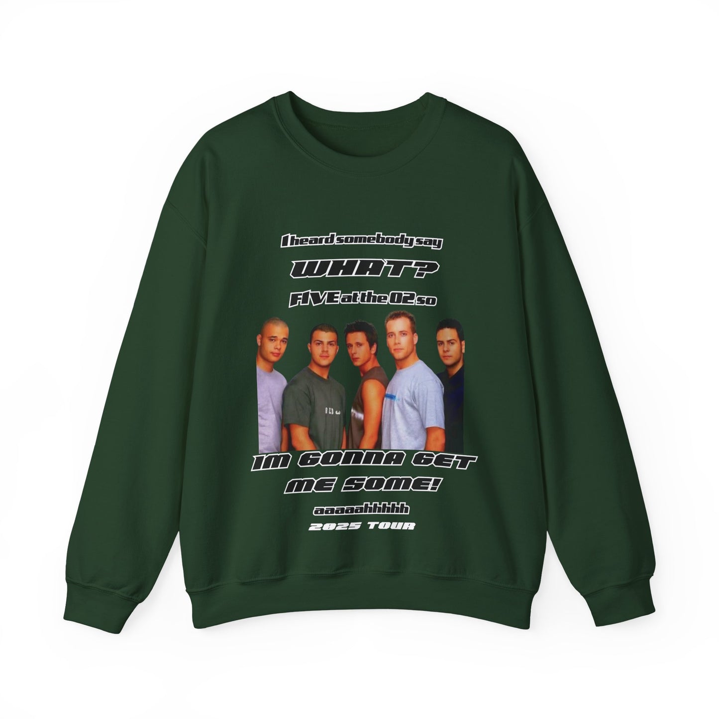 FIVE,  boy band, 5ive, 2025 tour, teenage nostalgia, original five fans slam dunk da funk