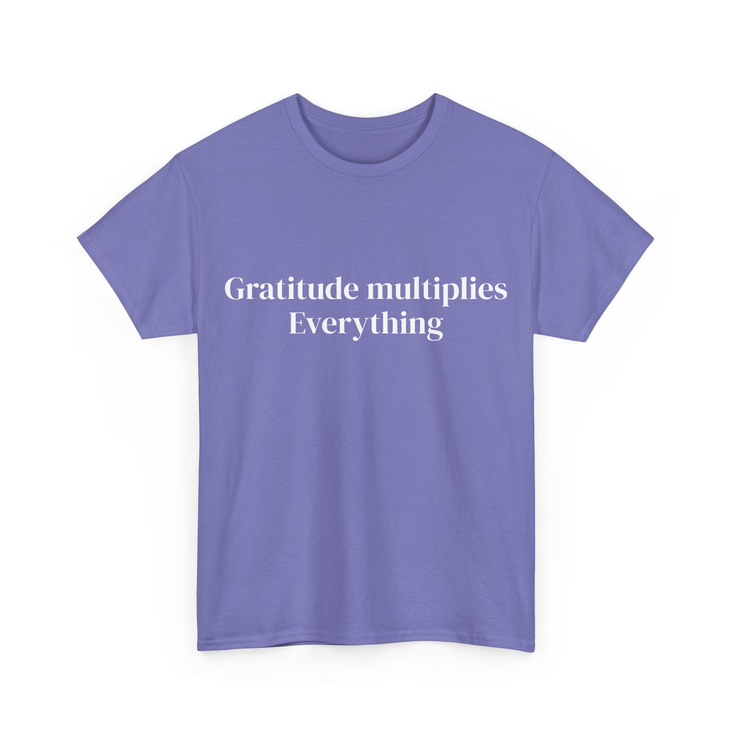 Gratitude multiplies everything, Affirmations Tee, Motivational Quote Tee, Everyday Casual Shirt, Spiritual, mindful living empowerment t-shirt