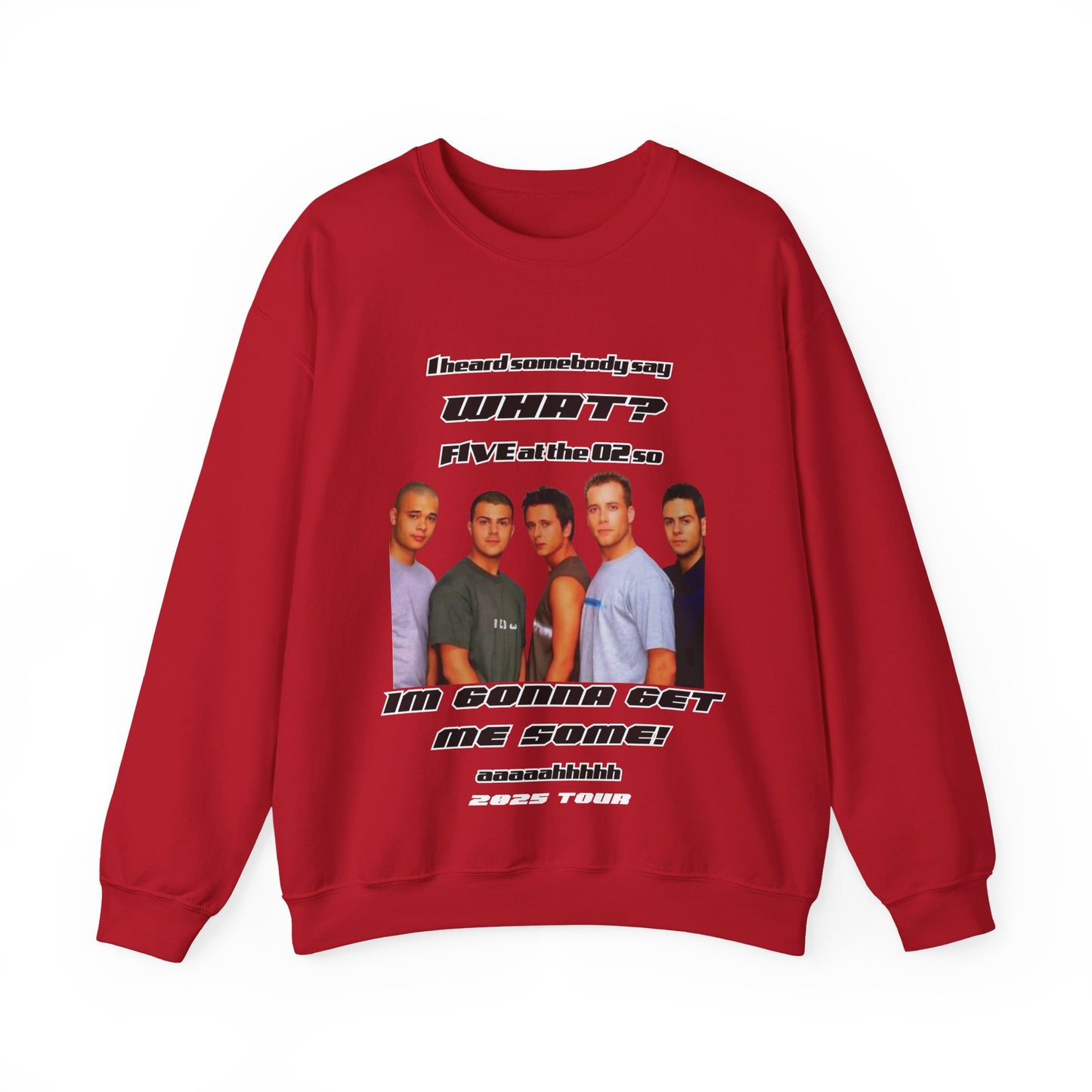 FIVE,  boy band, 5ive, 2025 tour, teenage nostalgia, original five fans slam dunk da funk