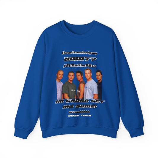 FIVE,  boy band, 5ive, 2025 tour, teenage nostalgia, original five fans slam dunk da funk