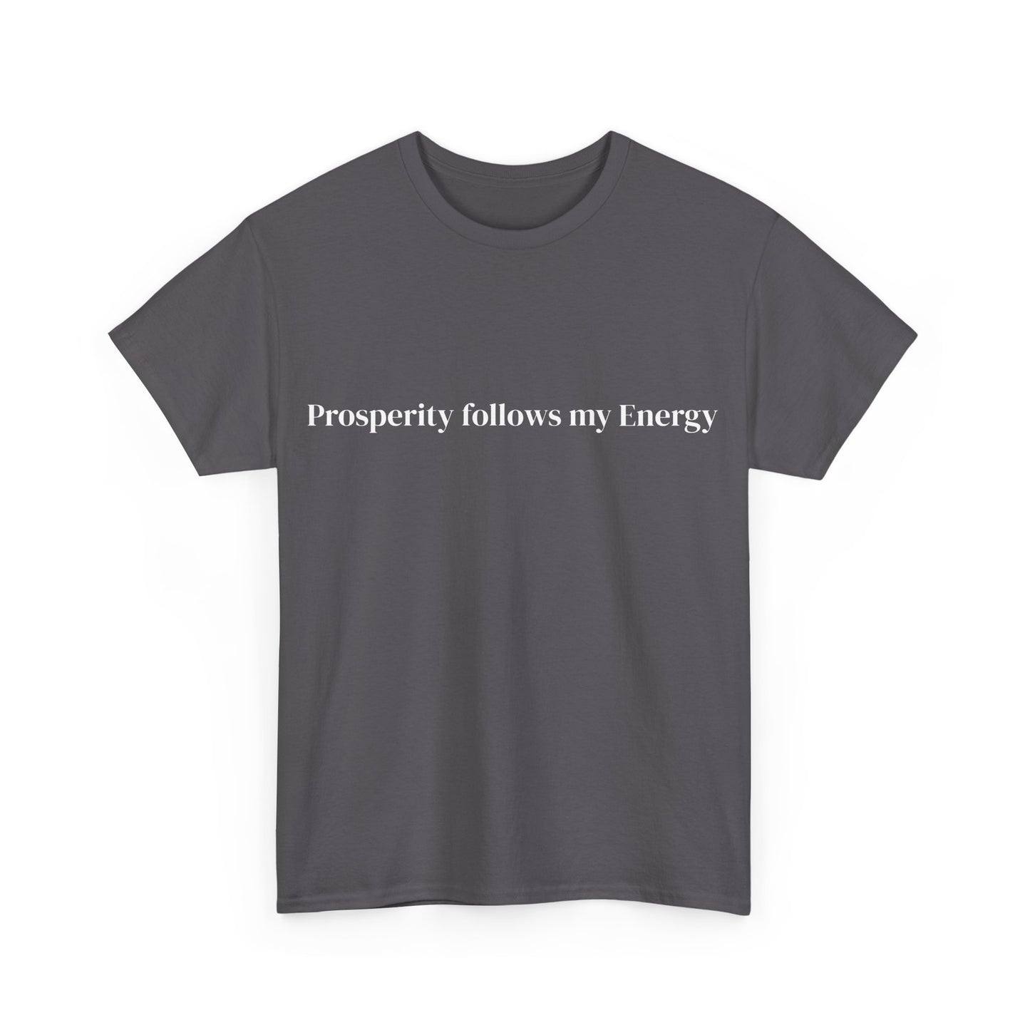 Prosperity follows my Energy, Affirmations Tee, Motivational Quote Tee, Everyday Casual Shirt, Spiritual, mindful living empowerment t-shirt